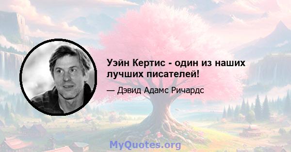 Уэйн Кертис - один из наших лучших писателей!