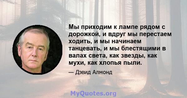 Мы приходим к лампе рядом с дорожкой, и вдруг мы перестаем ходить, и мы начинаем танцевать, и мы блестящими в валах света, как звезды, как мухи, как хлопья пыли.