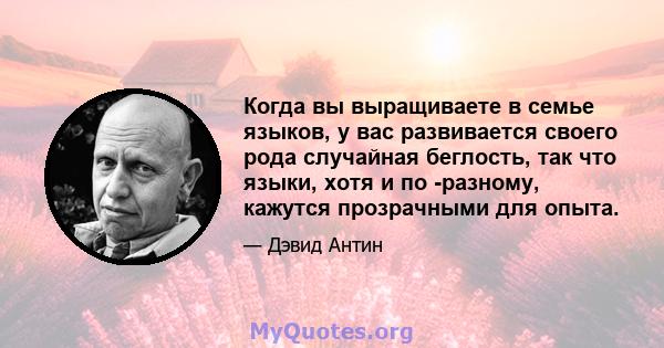 Когда вы выращиваете в семье языков, у вас развивается своего рода случайная беглость, так что языки, хотя и по -разному, кажутся прозрачными для опыта.