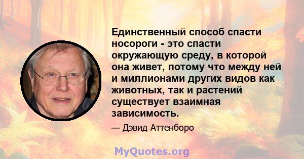 Единственный способ спасти носороги - это спасти окружающую среду, в которой она живет, потому что между ней и миллионами других видов как животных, так и растений существует взаимная зависимость.