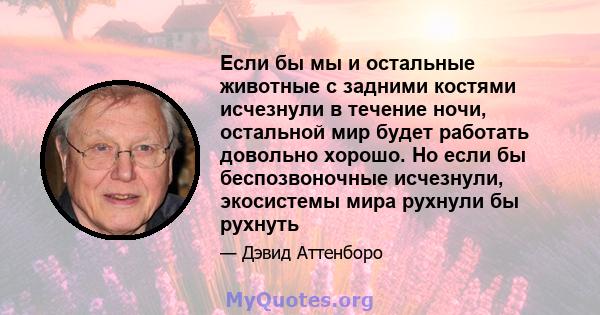 Если бы мы и остальные животные с задними костями исчезнули в течение ночи, остальной мир будет работать довольно хорошо. Но если бы беспозвоночные исчезнули, экосистемы мира рухнули бы рухнуть