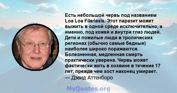 Есть небольшой червь под названием Loa Loa Filariasis. Этот паразит может выжить в одной среде исключительно, а именно, под кожей и внутри глаз людей. Дети и пожилые люди в тропических регионах (обычно самые бедные)