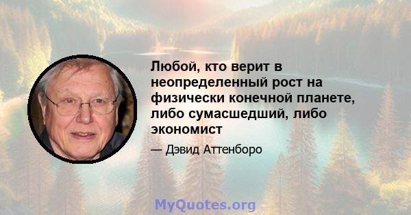 Любой, кто верит в неопределенный рост на физически конечной планете, либо сумасшедший, либо экономист