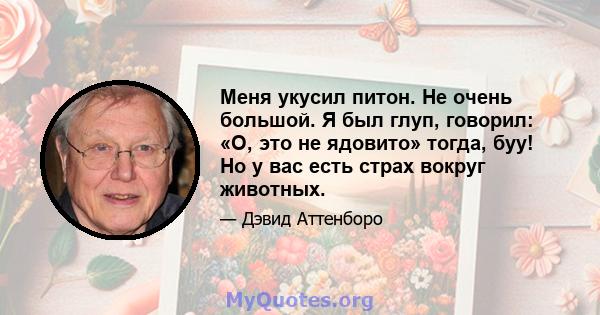 Меня укусил питон. Не очень большой. Я был глуп, говорил: «О, это не ядовито» тогда, буу! Но у вас есть страх вокруг животных.