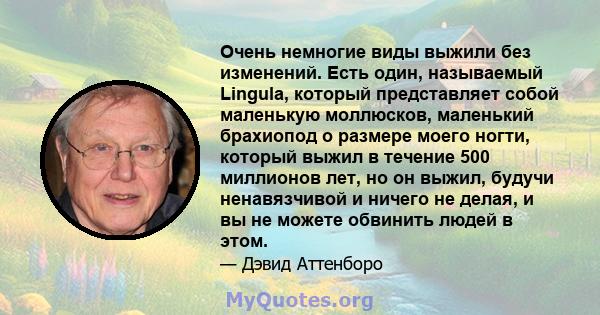 Очень немногие виды выжили без изменений. Есть один, называемый Lingula, который представляет собой маленькую моллюсков, маленький брахиопод о размере моего ногти, который выжил в течение 500 миллионов лет, но он выжил, 