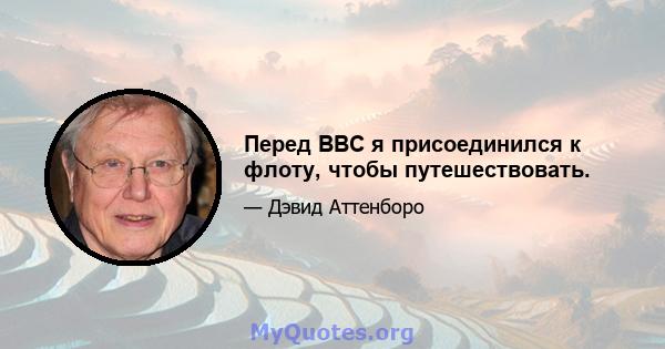 Перед BBC я присоединился к флоту, чтобы путешествовать.