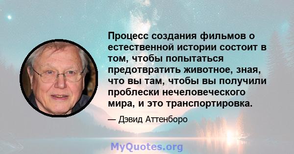 Процесс создания фильмов о естественной истории состоит в том, чтобы попытаться предотвратить животное, зная, что вы там, чтобы вы получили проблески нечеловеческого мира, и это транспортировка.