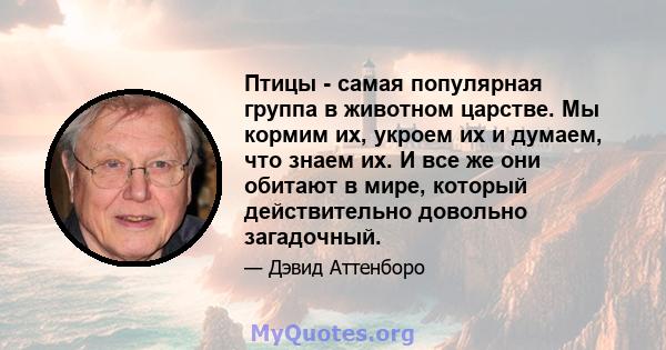 Птицы - самая популярная группа в животном царстве. Мы кормим их, укроем их и думаем, что знаем их. И все же они обитают в мире, который действительно довольно загадочный.