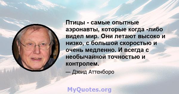 Птицы - самые опытные аэронавты, которые когда -либо видел мир. Они летают высоко и низко, с большой скоростью и очень медленно. И всегда с необычайной точностью и контролем.