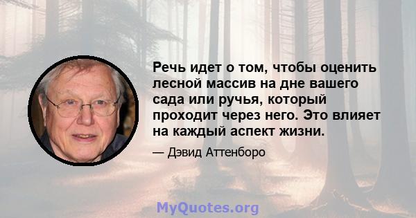 Речь идет о том, чтобы оценить лесной массив на дне вашего сада или ручья, который проходит через него. Это влияет на каждый аспект жизни.