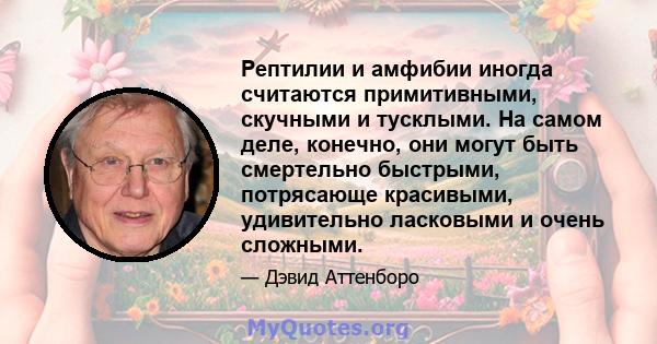 Рептилии и амфибии иногда считаются примитивными, скучными и тусклыми. На самом деле, конечно, они могут быть смертельно быстрыми, потрясающе красивыми, удивительно ласковыми и очень сложными.