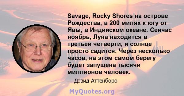 Savage, Rocky Shores на острове Рождества, в 200 милях к югу от Явы, в Индийском океане. Сейчас ноябрь, Луна находится в третьей четверти, и солнце просто садится. Через несколько часов, на этом самом берегу будет