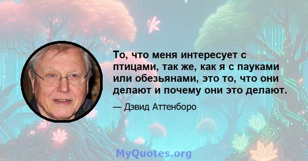 То, что меня интересует с птицами, так же, как я с пауками или обезьянами, это то, что они делают и почему они это делают.