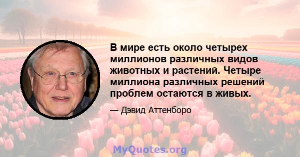 В мире есть около четырех миллионов различных видов животных и растений. Четыре миллиона различных решений проблем остаются в живых.