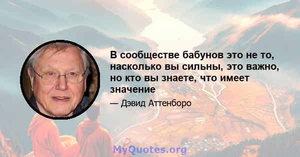 В сообществе бабунов это не то, насколько вы сильны, это важно, но кто вы знаете, что имеет значение