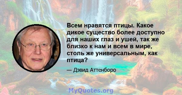 Всем нравятся птицы. Какое дикое существо более доступно для наших глаз и ушей, так же близко к нам и всем в мире, столь же универсальным, как птица?