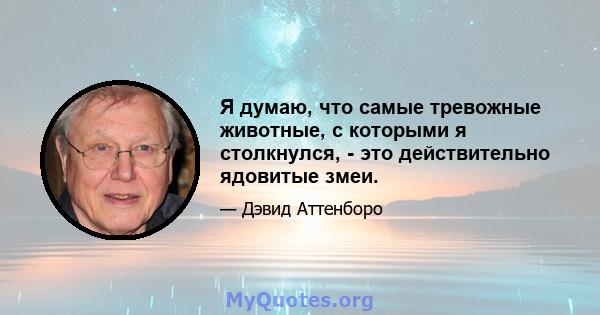 Я думаю, что самые тревожные животные, с которыми я столкнулся, - это действительно ядовитые змеи.