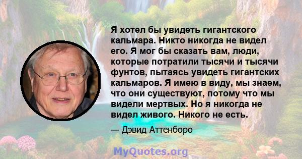 Я хотел бы увидеть гигантского кальмара. Никто никогда не видел его. Я мог бы сказать вам, люди, которые потратили тысячи и тысячи фунтов, пытаясь увидеть гигантских кальмаров. Я имею в виду, мы знаем, что они