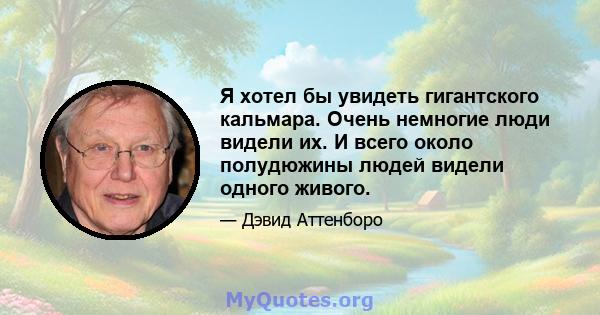 Я хотел бы увидеть гигантского кальмара. Очень немногие люди видели их. И всего около полудюжины людей видели одного живого.