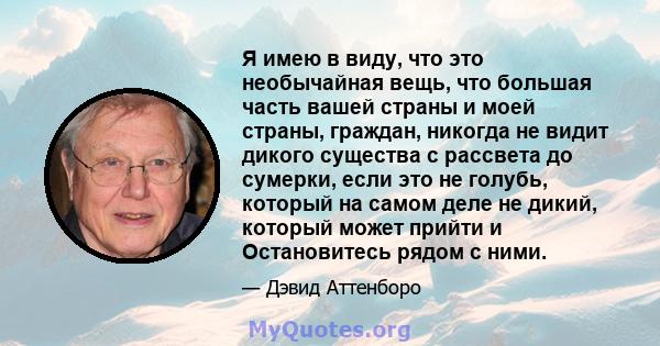 Я имею в виду, что это необычайная вещь, что большая часть вашей страны и моей страны, граждан, никогда не видит дикого существа с рассвета до сумерки, если это не голубь, который на самом деле не дикий, который может