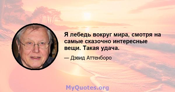 Я лебедь вокруг мира, смотря на самые сказочно интересные вещи. Такая удача.