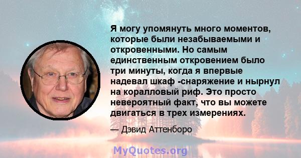 Я могу упомянуть много моментов, которые были незабываемыми и откровенными. Но самым единственным откровением было три минуты, когда я впервые надевал шкаф -снаряжение и нырнул на коралловый риф. Это просто невероятный