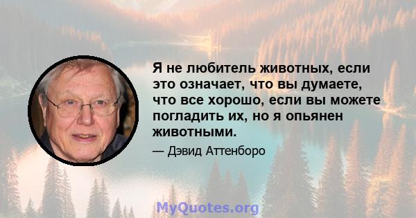 Я не любитель животных, если это означает, что вы думаете, что все хорошо, если вы можете погладить их, но я опьянен животными.