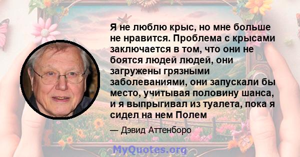 Я не люблю крыс, но мне больше не нравится. Проблема с крысами заключается в том, что они не боятся людей людей, они загружены грязными заболеваниями, они запускали бы место, учитывая половину шанса, и я выпрыгивал из