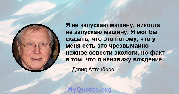 Я не запускаю машину, никогда не запускаю машину. Я мог бы сказать, что это потому, что у меня есть это чрезвычайно нежное совести экологи, но факт в том, что я ненавижу вождение.