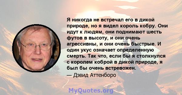 Я никогда не встречал его в дикой природе, но я видел король кобру. Они идут к людям, они поднимают шесть футов в высоту, и они очень агрессивны, и они очень быстрые. И один укус означает определенную смерть. Так что,