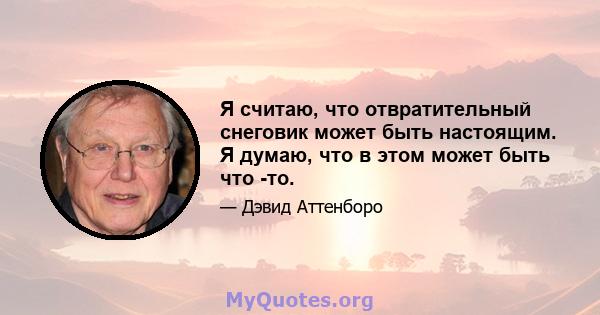 Я считаю, что отвратительный снеговик может быть настоящим. Я думаю, что в этом может быть что -то.