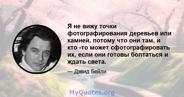 Я не вижу точки фотографирования деревьев или камней, потому что они там, и кто -то может сфотографировать их, если они готовы болтаться и ждать света.