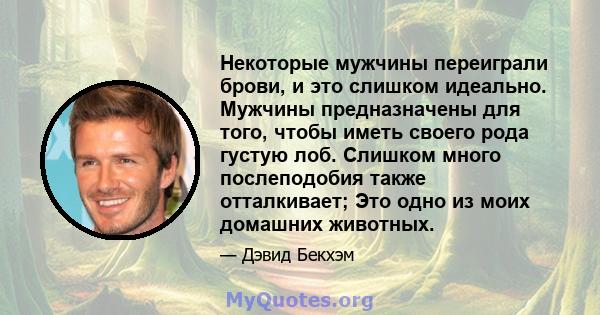 Некоторые мужчины переиграли брови, и это слишком идеально. Мужчины предназначены для того, чтобы иметь своего рода густую лоб. Слишком много послеподобия также отталкивает; Это одно из моих домашних животных.