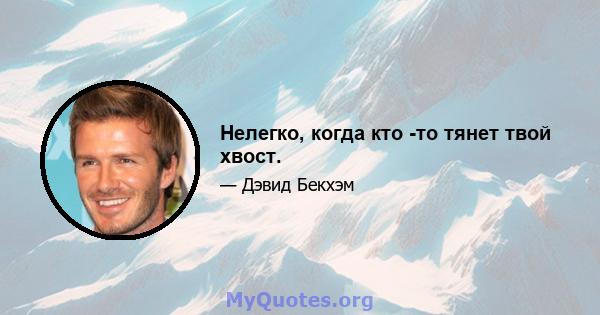 Нелегко, когда кто -то тянет твой хвост.