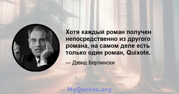 Хотя каждый роман получен непосредственно из другого романа, на самом деле есть только один роман, Quixote.