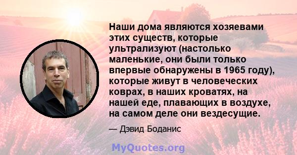 Наши дома являются хозяевами этих существ, которые ультрализуют (настолько маленькие, они были только впервые обнаружены в 1965 году), которые живут в человеческих коврах, в наших кроватях, на нашей еде, плавающих в