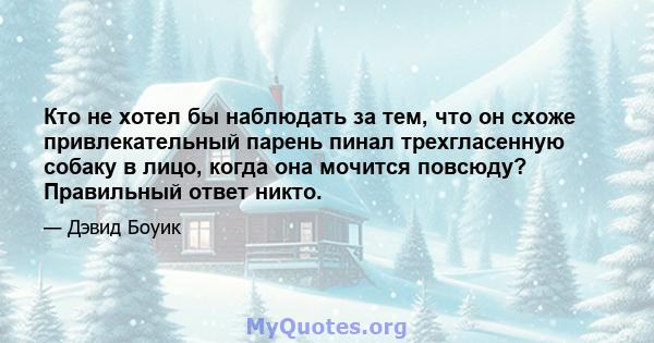 Кто не хотел бы наблюдать за тем, что он схоже привлекательный парень пинал трехгласенную собаку в лицо, когда она мочится повсюду? Правильный ответ никто.