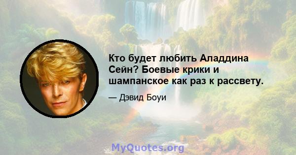 Кто будет любить Аладдина Сейн? Боевые крики и шампанское как раз к рассвету.