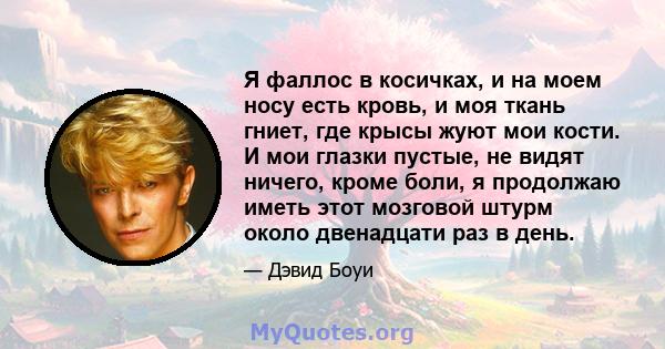 Я фаллос в косичках, и на моем носу есть кровь, и моя ткань гниет, где крысы жуют мои кости. И мои глазки пустые, не видят ничего, кроме боли, я продолжаю иметь этот мозговой штурм около двенадцати раз в день.