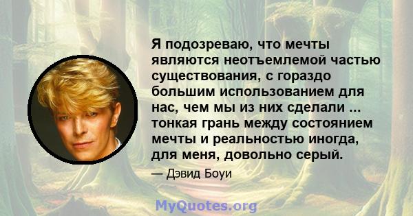 Я подозреваю, что мечты являются неотъемлемой частью существования, с гораздо большим использованием для нас, чем мы из них сделали ... тонкая грань между состоянием мечты и реальностью иногда, для меня, довольно серый.