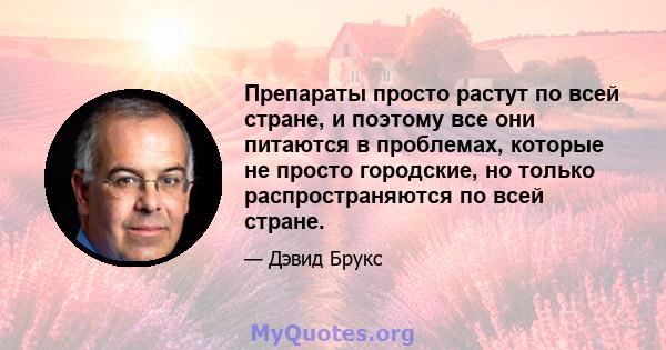 Препараты просто растут по всей стране, и поэтому все они питаются в проблемах, которые не просто городские, но только распространяются по всей стране.