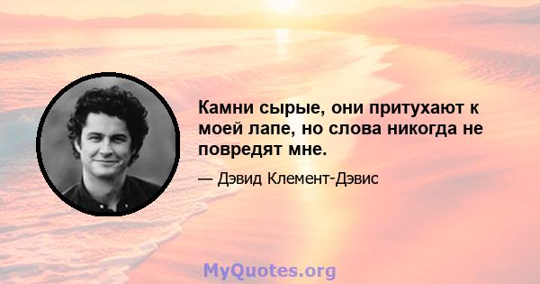 Камни сырые, они притухают к моей лапе, но слова никогда не повредят мне.