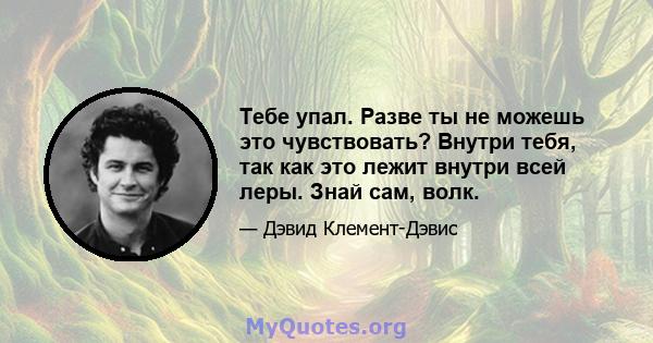 Тебе упал. Разве ты не можешь это чувствовать? Внутри тебя, так как это лежит внутри всей леры. Знай сам, волк.