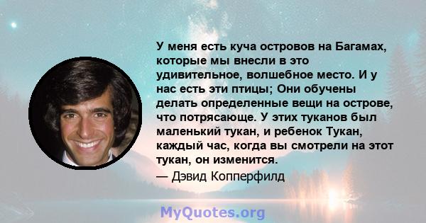 У меня есть куча островов на Багамах, которые мы внесли в это удивительное, волшебное место. И у нас есть эти птицы; Они обучены делать определенные вещи на острове, что потрясающе. У этих туканов был маленький тукан, и 