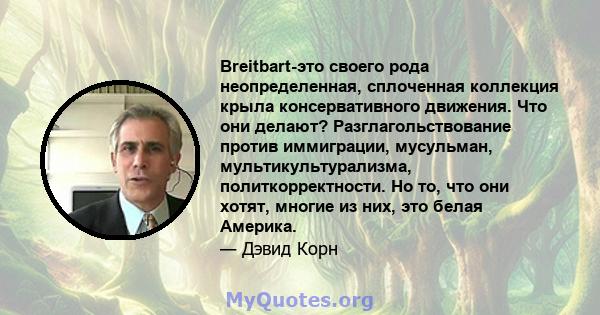 Breitbart-это своего рода неопределенная, сплоченная коллекция крыла консервативного движения. Что они делают? Разглагольствование против иммиграции, мусульман, мультикультурализма, политкорректности. Но то, что они