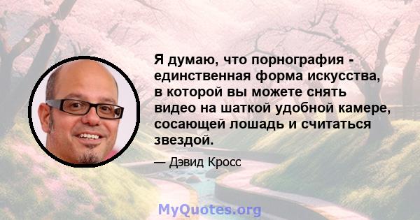 Я думаю, что порнография - единственная форма искусства, в которой вы можете снять видео на шаткой удобной камере, сосающей лошадь и считаться звездой.