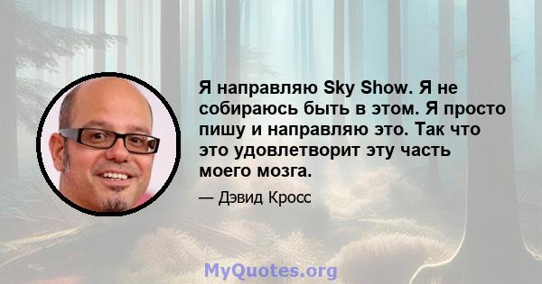 Я направляю Sky Show. Я не собираюсь быть в этом. Я просто пишу и направляю это. Так что это удовлетворит эту часть моего мозга.