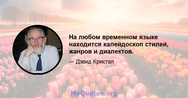 На любом временном языке находится калейдоскоп стилей, жанров и диалектов.