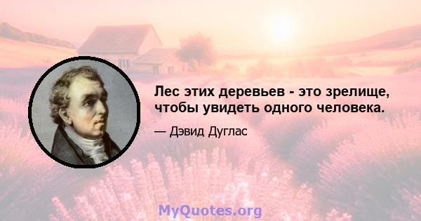 Лес этих деревьев - это зрелище, чтобы увидеть одного человека.