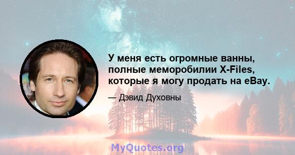 У меня есть огромные ванны, полные меморобилии X-Files, которые я могу продать на eBay.